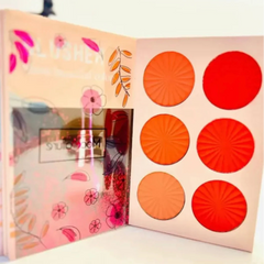 Mocallure  4 In 1 Makeup Book