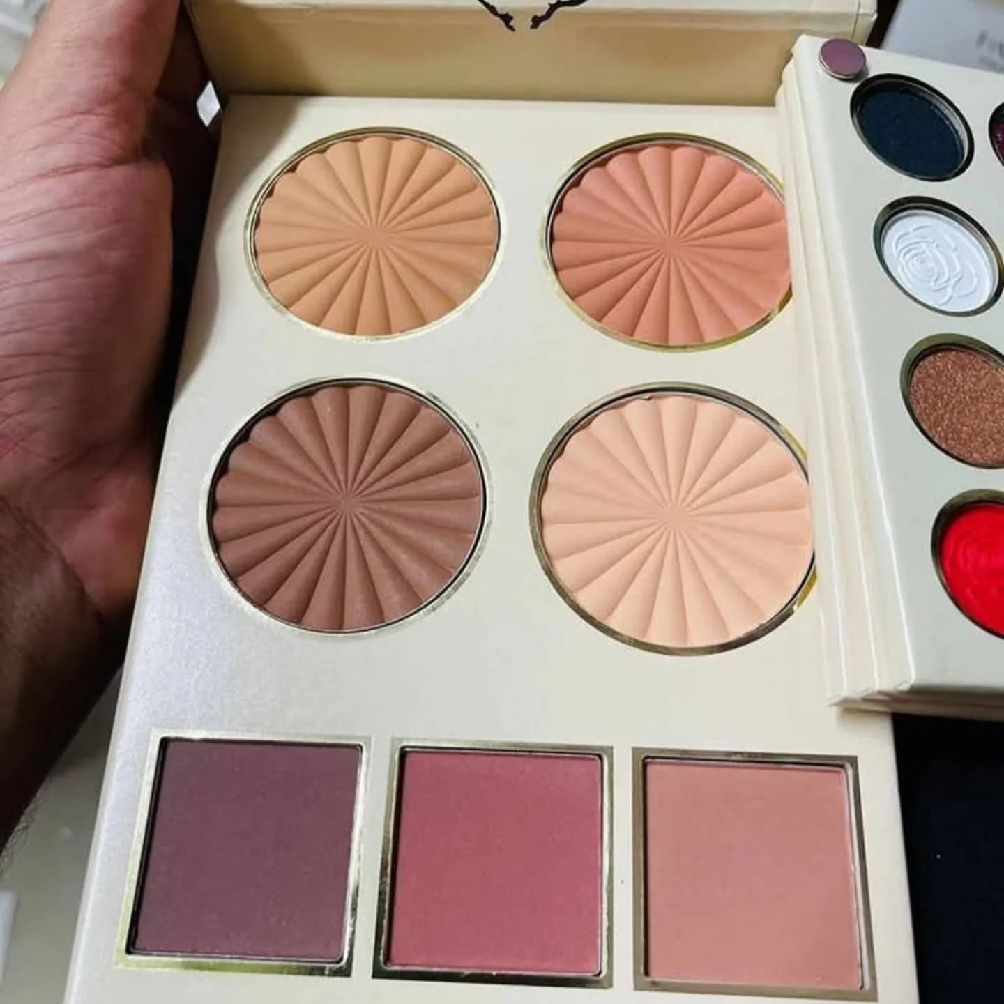 𝗦𝗵𝗲𝗴𝗹𝗮𝗺 𝗔𝗹𝗹-𝗜𝗻-𝗢𝗻𝗲 𝗠𝘆 𝗟𝗼𝘃𝗶𝗻𝗴 𝗣𝗮𝗹𝗲𝘁𝘁𝗲😍