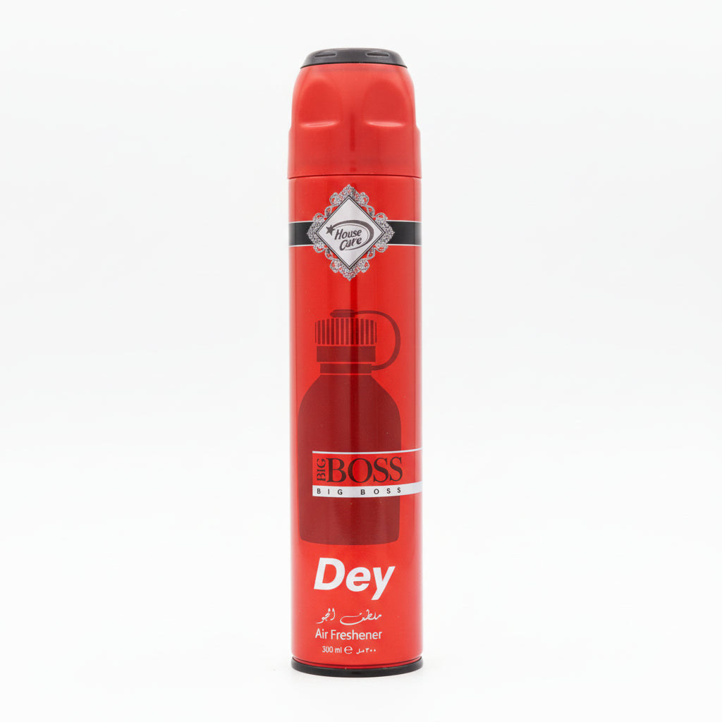 House Care Big Boss Dry Air Freshener - 300ml