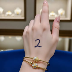 2-Piece Bangles Set – Elegant and Beautiful