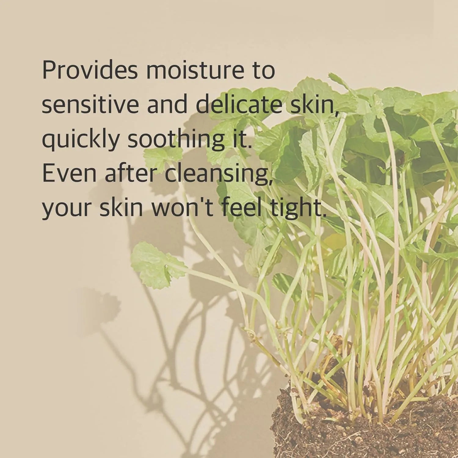 Mixsoon Centella Cleansing Foam – 150 ml