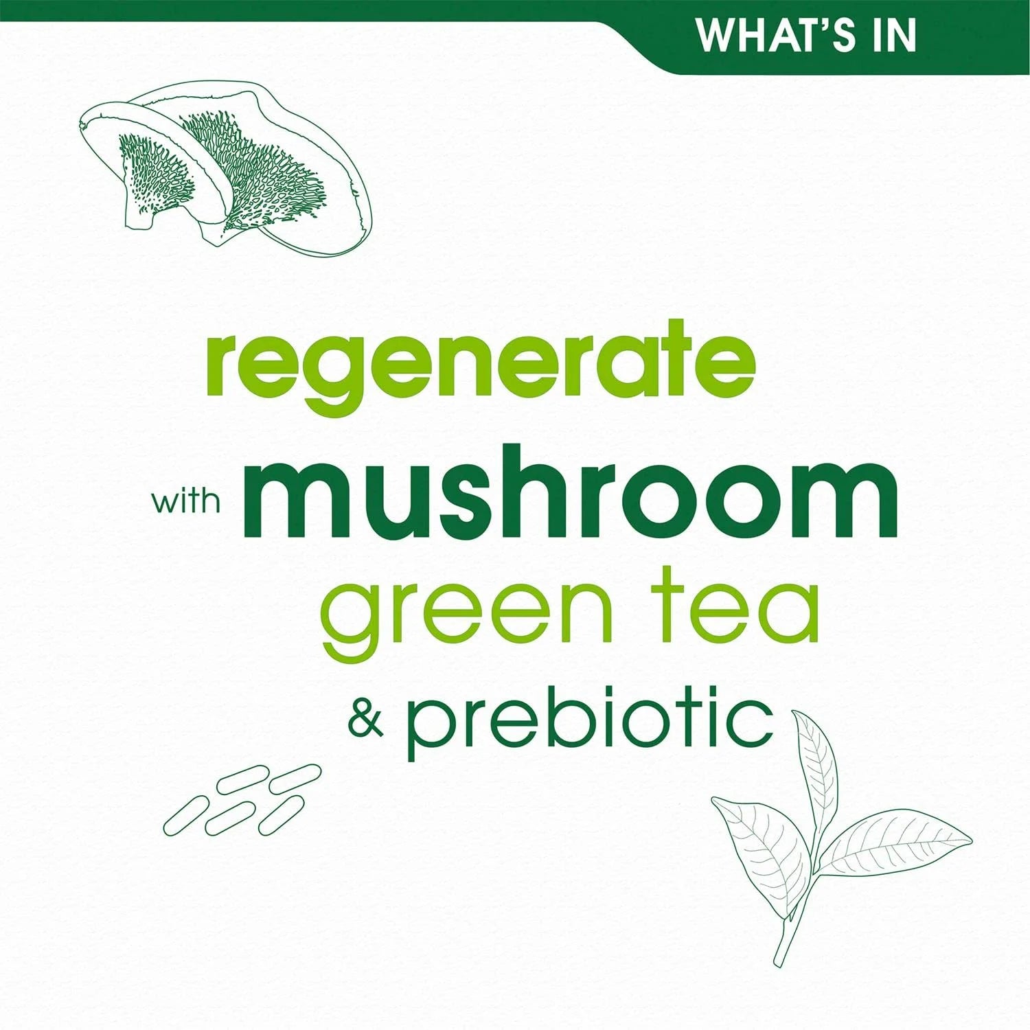 Simple Regeneration Age Resisting Night Cream - 50ml