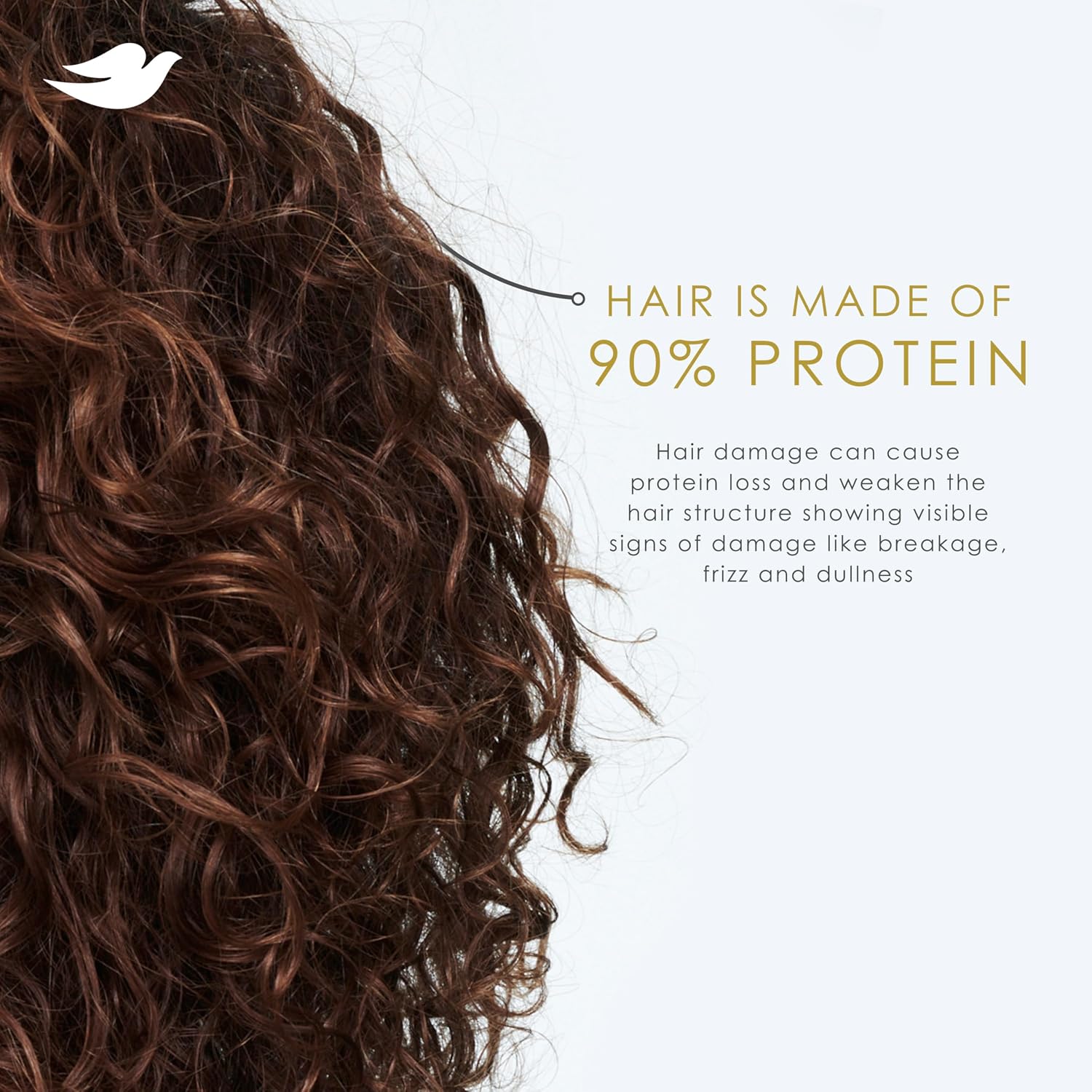Dove Argan Oil & Repair Damage Therapy Shampoo - 355ml