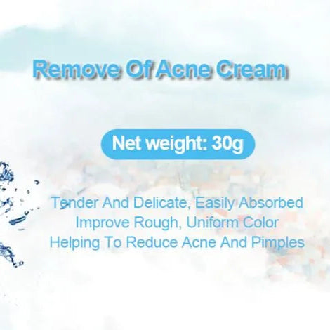 BIOAQUA- Acne Removal Pure Skin Cream - 30g