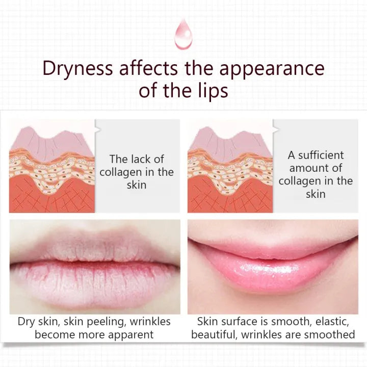 BIOAQUA Lip Care Keep Lip Lasting Moisture Replenishment Lip Sleeping Mask – 20g