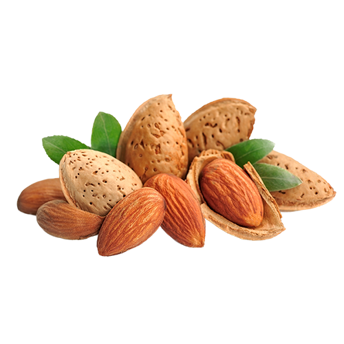 Vatika Naturals Nourish & Protect Styling Aloevera Hair Cream 140ml