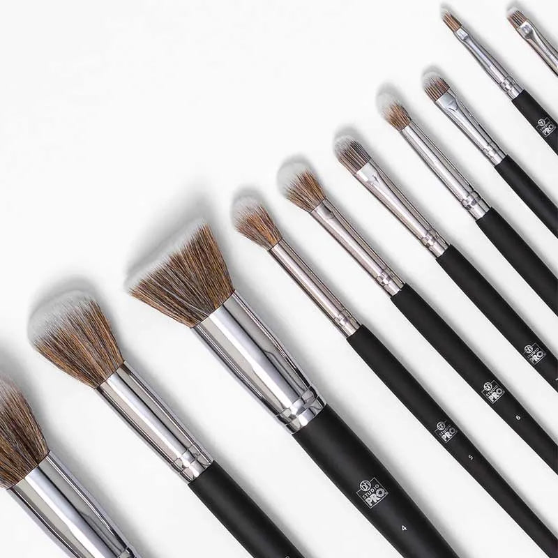 BH Studio Pro 13 Piece Brush Set