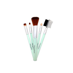 Color Institute 5 in 1 Brush Set