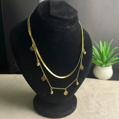 Stainless Steel Elegant Dual Chain Necklace - Each