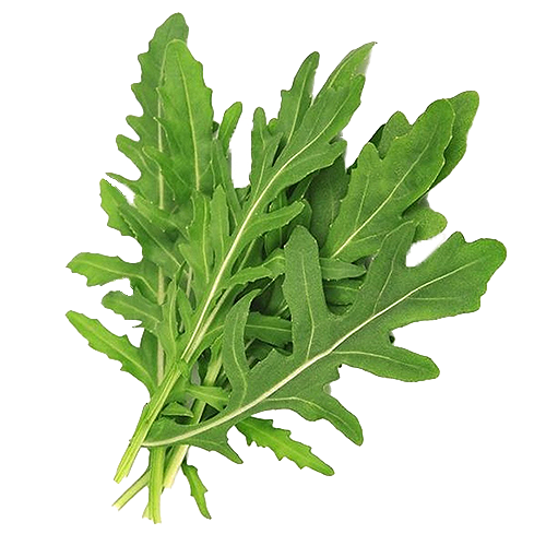 Vatika Naturals Hair Fall Control Hair Cream 140ml