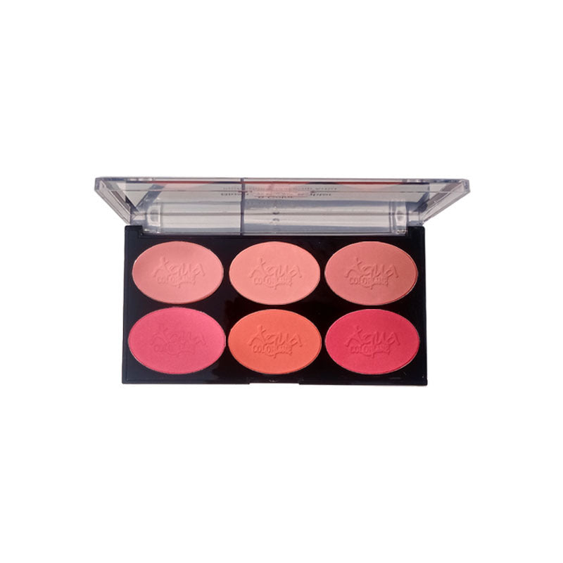 Aqua Color Line 6 Color Blush Palette