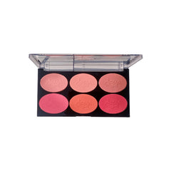 Aqua Color Line 6 Color Blush Palette