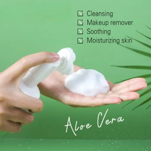 Dr-Rashel Aloe Vera Essence Cleansing Mousse - 120ml