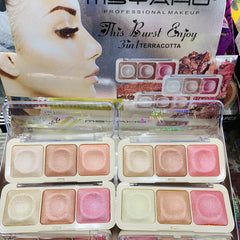 3 in 1 Msyaho Blush Highlighter
