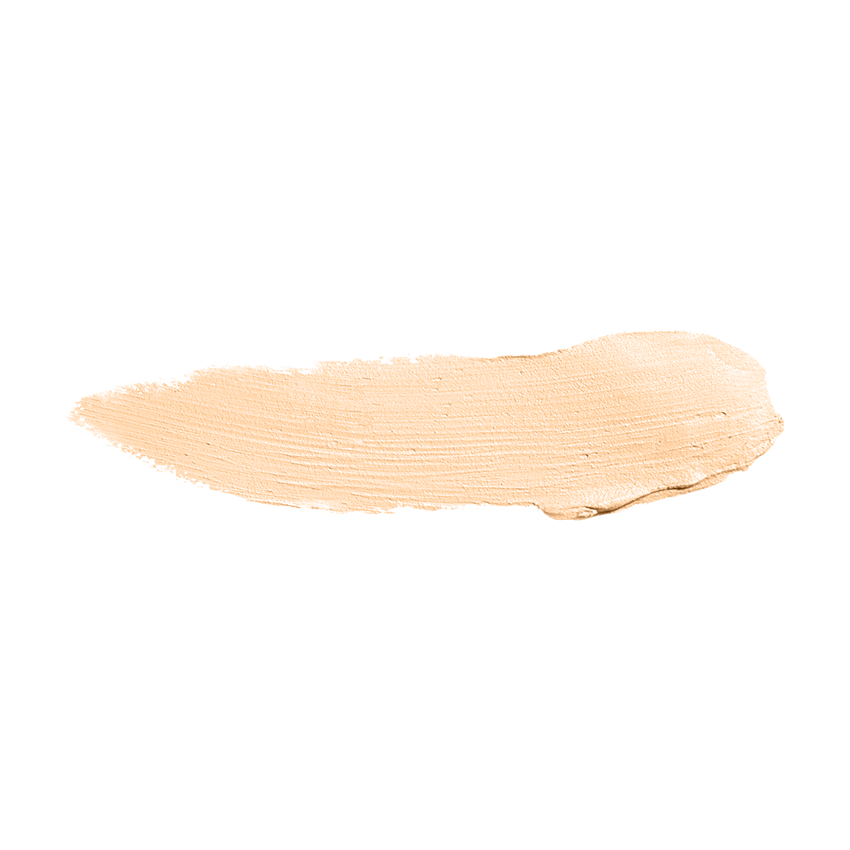 Color Institute Foundation Stick