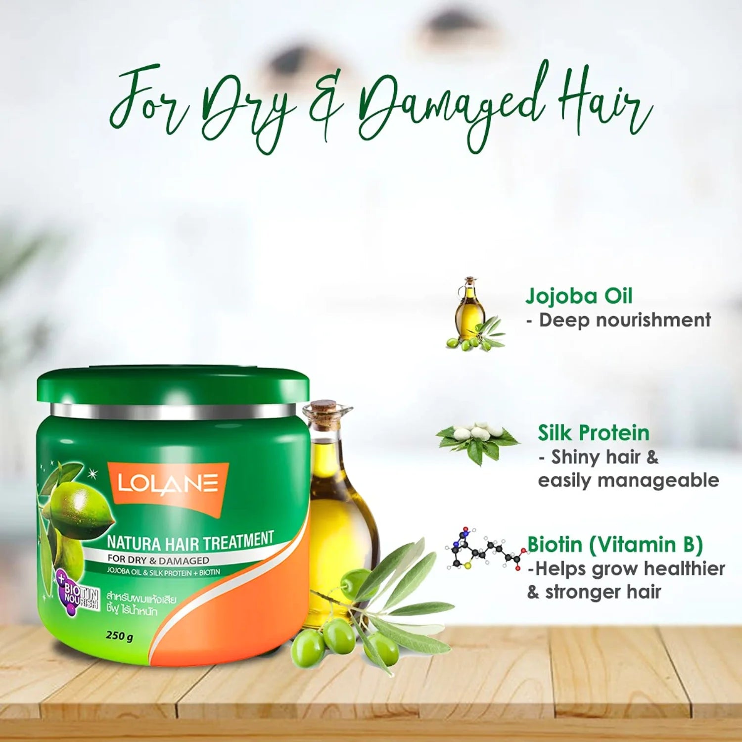 Lolane Natura Dry and Damage Hair Treatment 250g