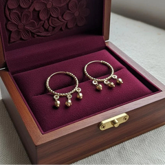 Elegant Gold-Plated Hoop Earrings Beauty with a Modern Touch
