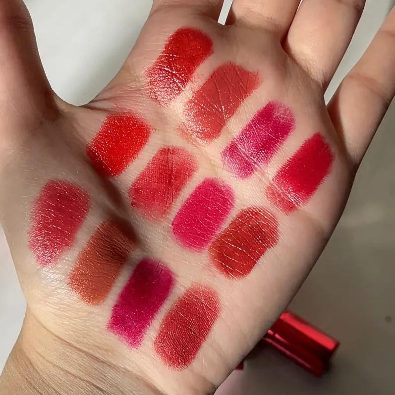 Handaiyan Matte Metal Lipstick Vault - 12Pcs