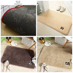 Non-Slip Water Absorbent Door Mat – Quick-Dry Floor Mat (40x60cm)