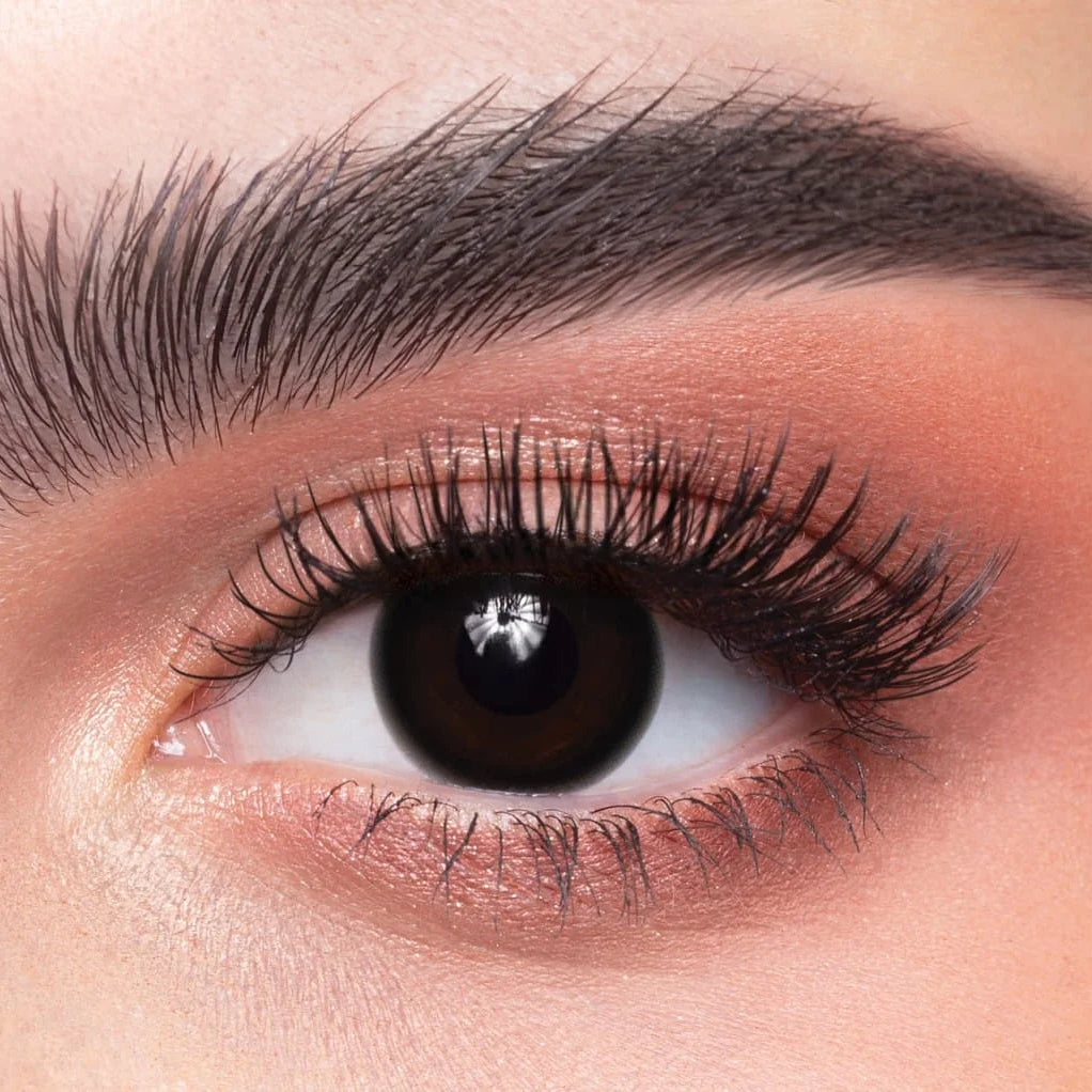 Dahab Daily Wear Collection Black Contact Lenses