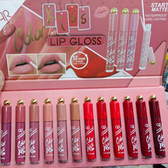 Qoiden Rose 12 Pcs Lipgloss set