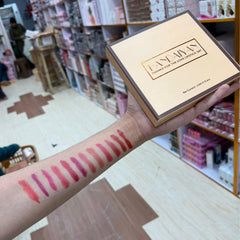 Handaiyan Matte Metal Lipstick Vault - 12Pcs