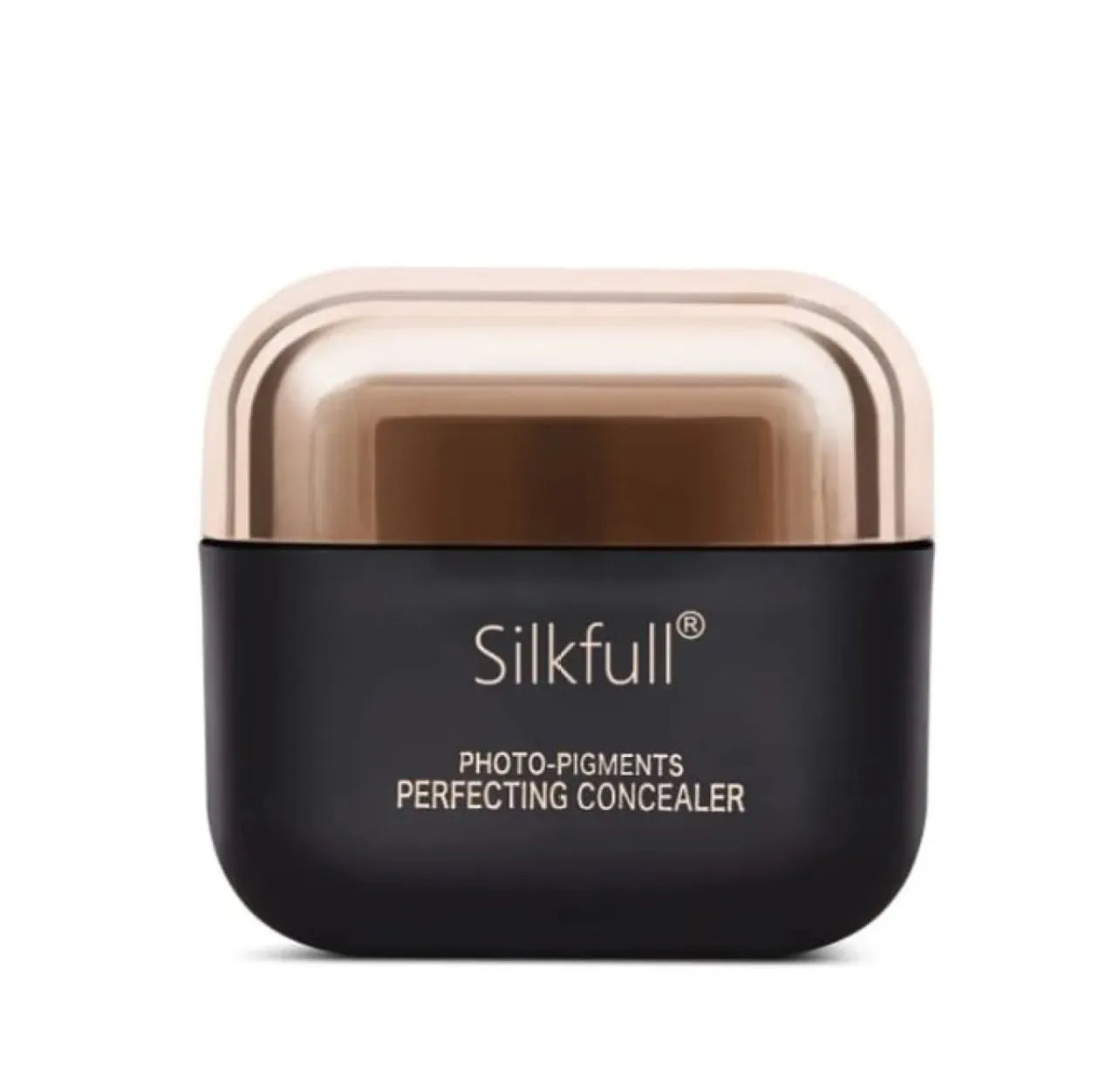 Silkfull Perfecting Concealer - 65g