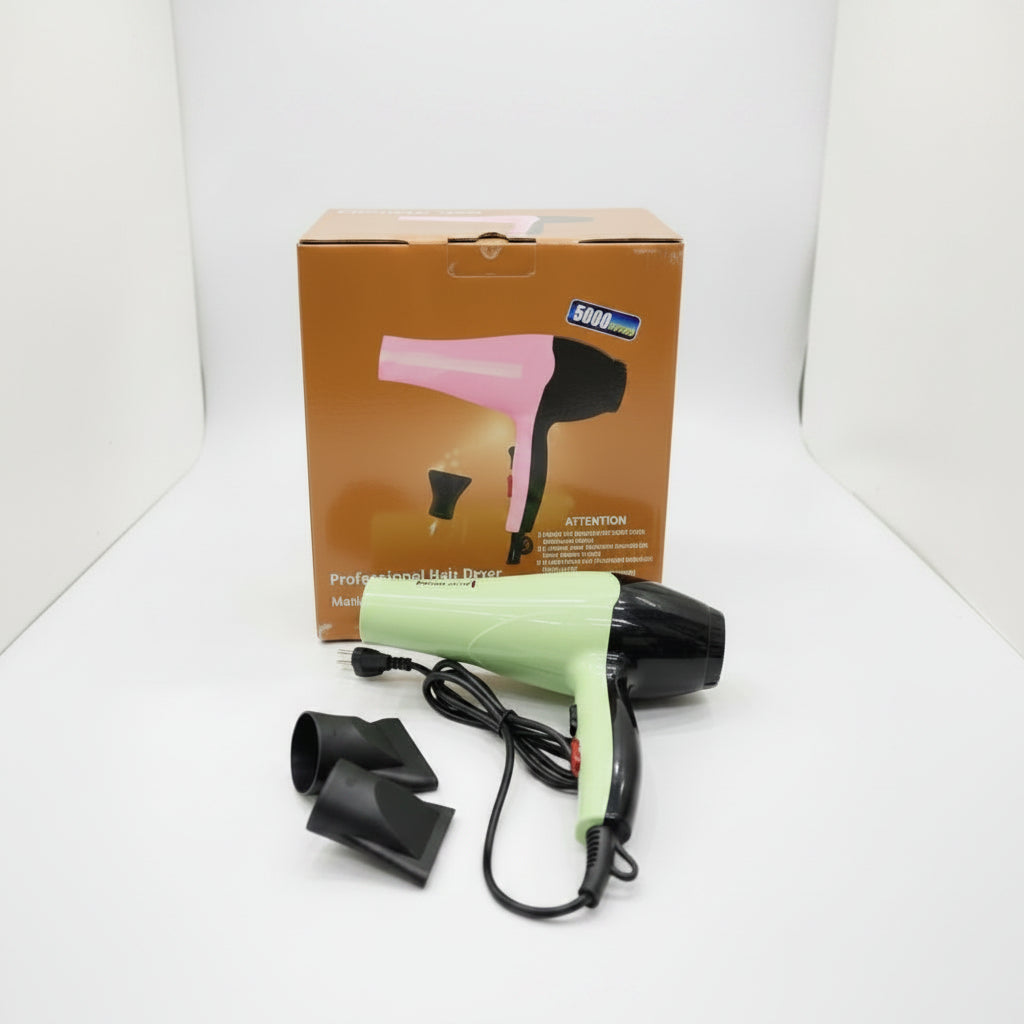 Professional Hair Dryer - Model DR-3001