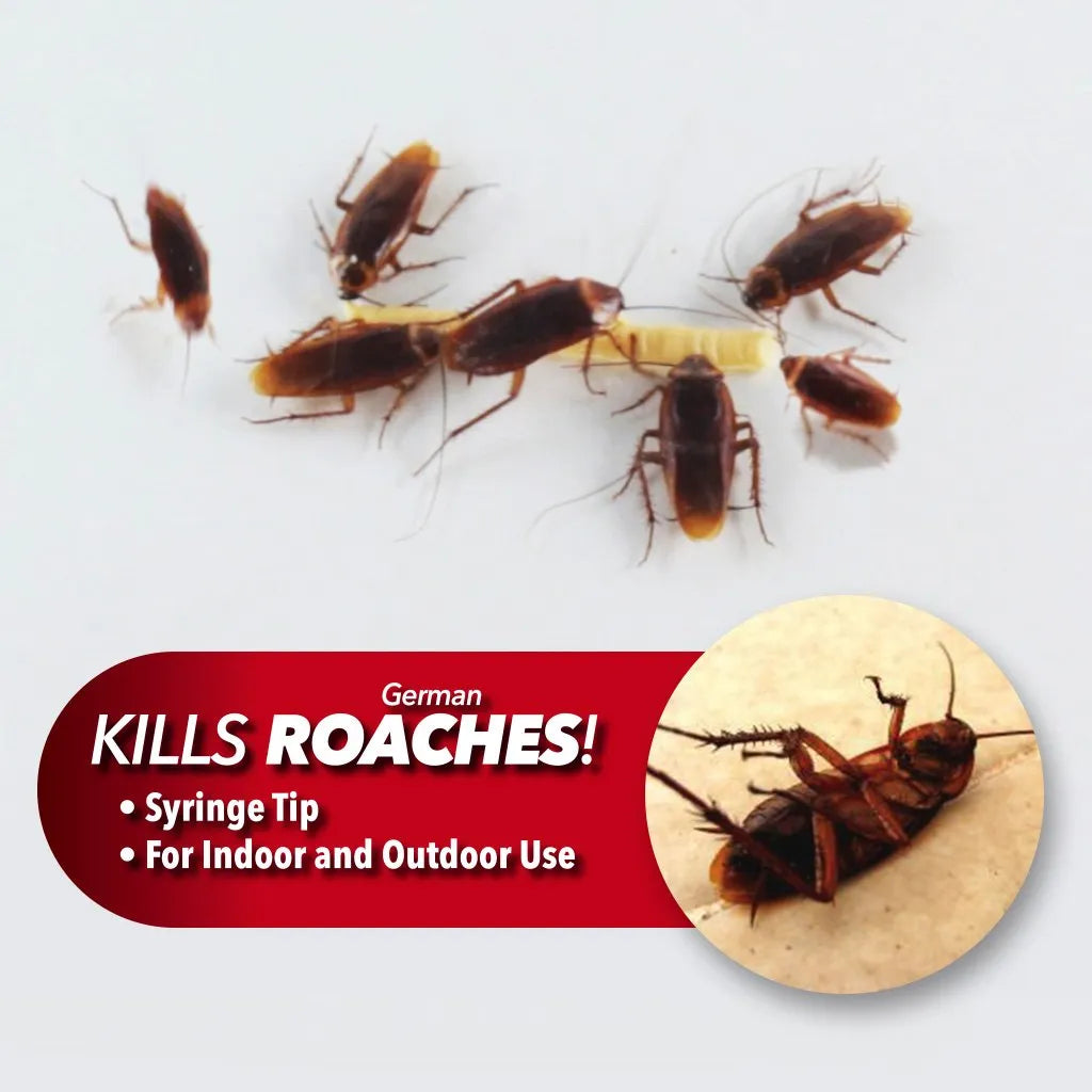Roach Doctor Control Gel Cockroach Killing Gel  - 5g