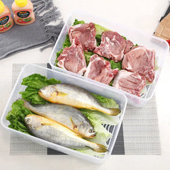 Clear Plastic Food Storage Box with Drain Tray & Lid