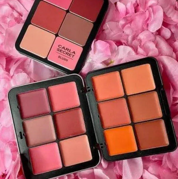 CARLA SECRET Concealer & Blush Palette