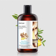 JOMTAM Ginger Herbal Shampoo Anti-Hair Loss Itching Dandruff Control - 400ml