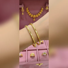 Rajwari 2Pcs Bangles Set
