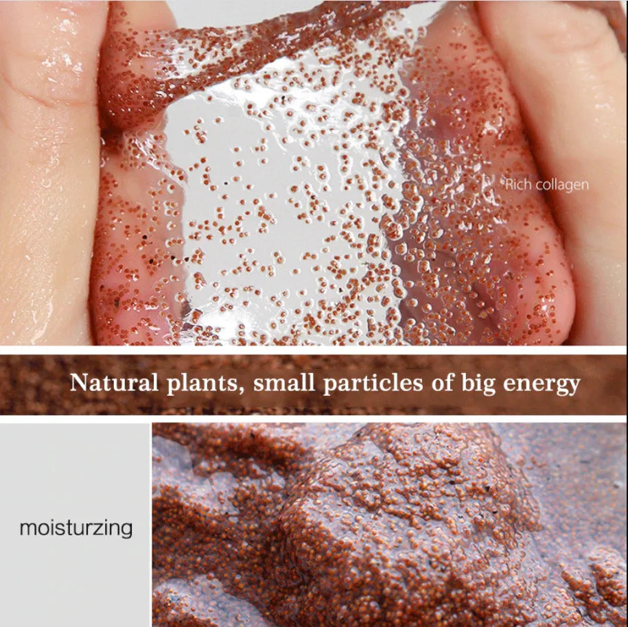 Lollywood Style's Algae Mask | Pure Seaweed 50 gm Medium